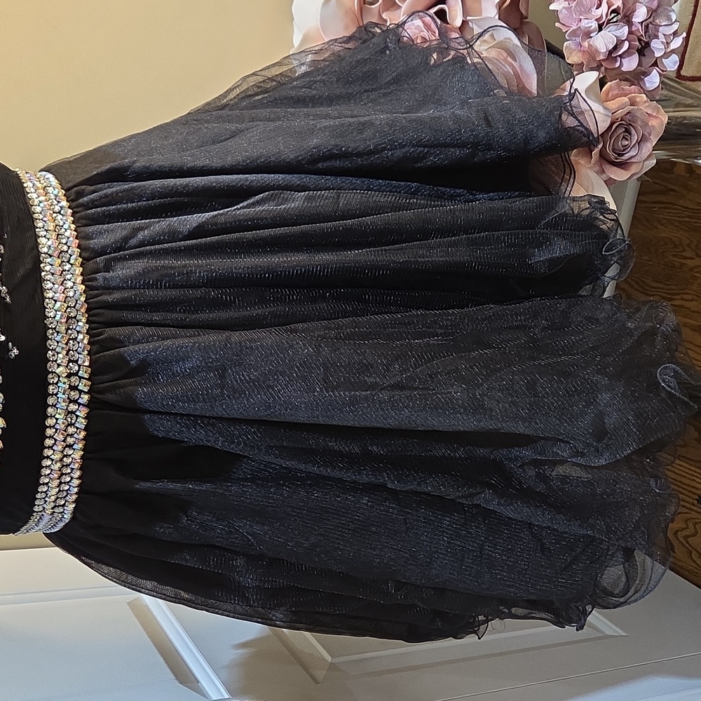 Nwot XL Anny Lee Black and Zirconia  Mini Dress Ballroom - Picture 4 of 17